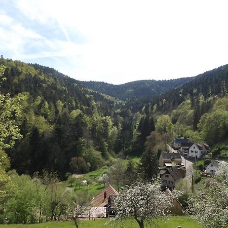 Studio A Murbach Au Calme Exterior foto
