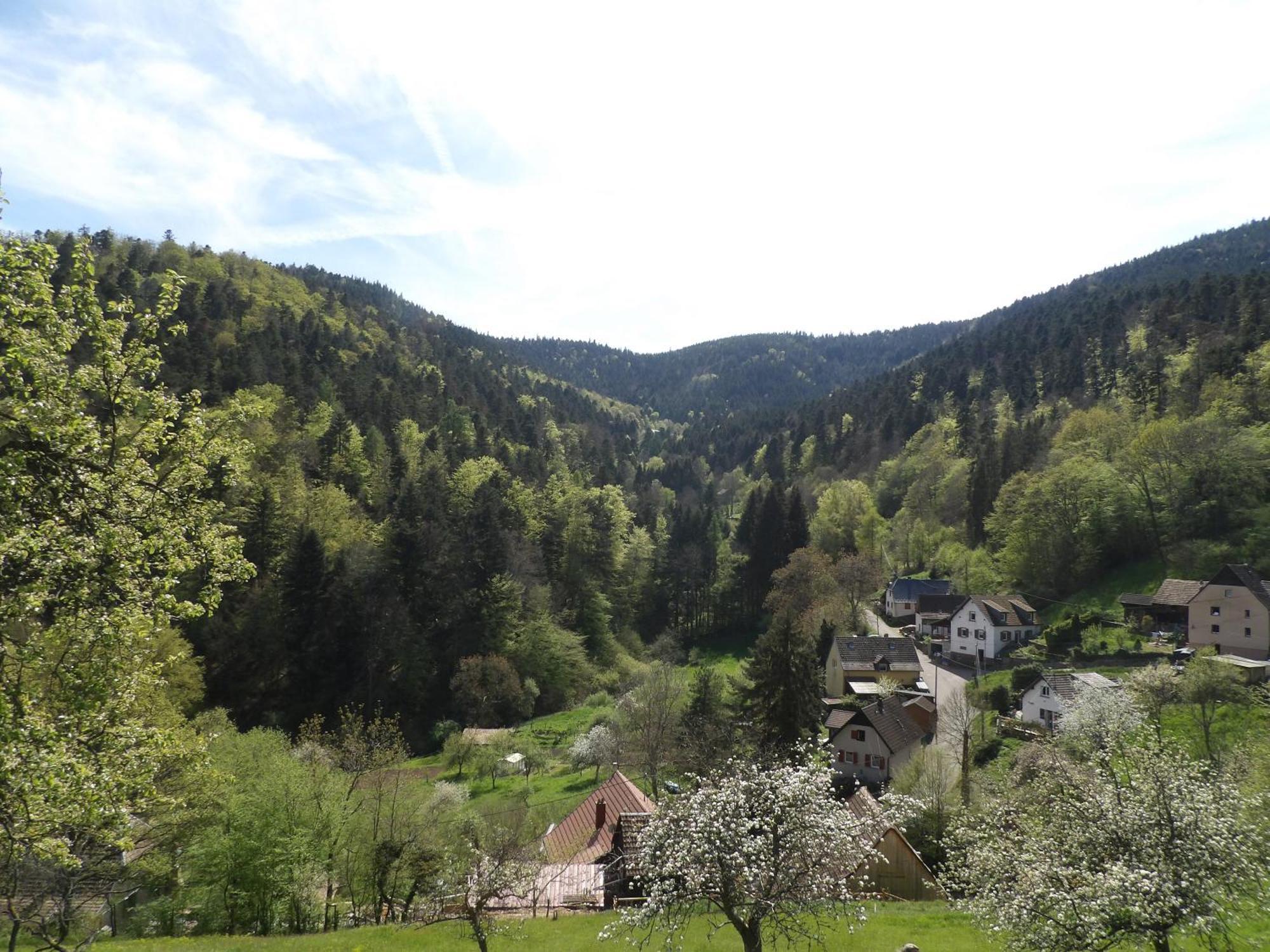 Studio A Murbach Au Calme Exterior foto